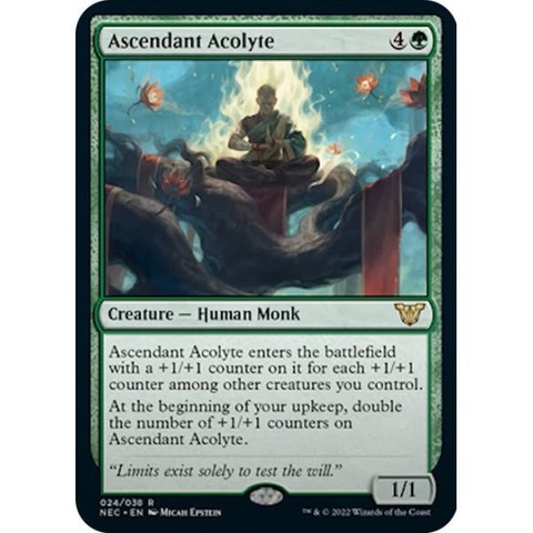 Ascendant Acolyte