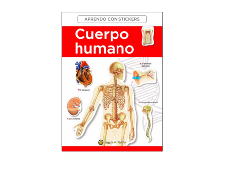 Cuerpo humano Aprendo con stickers