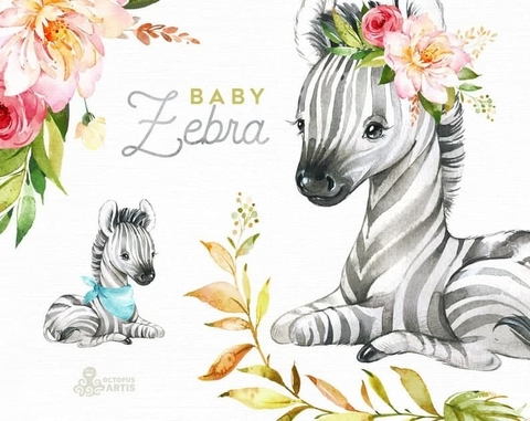 Hoja de Elementos Baby Zebra