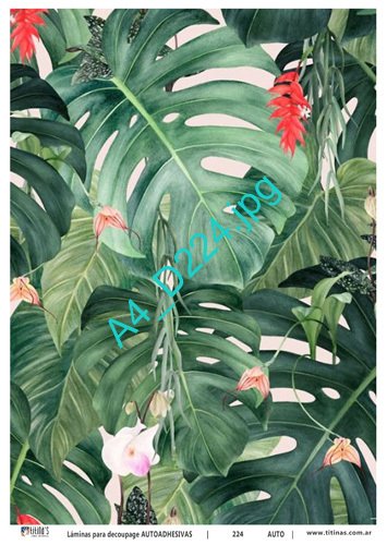 Lámina para Decoupage Mate A4 Titina&#039;s Mod 224