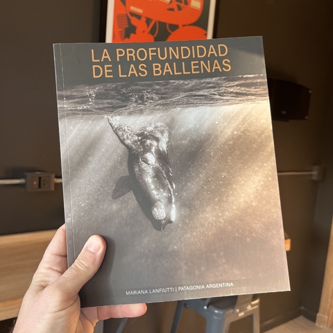La profundidad de las cosas ballenas - Mariana Lanfiutti