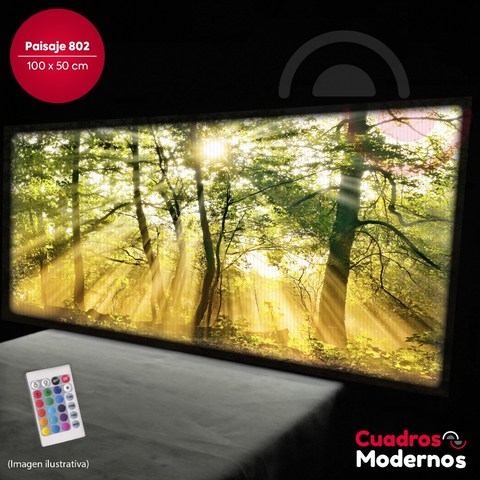 Paisaje LED 802