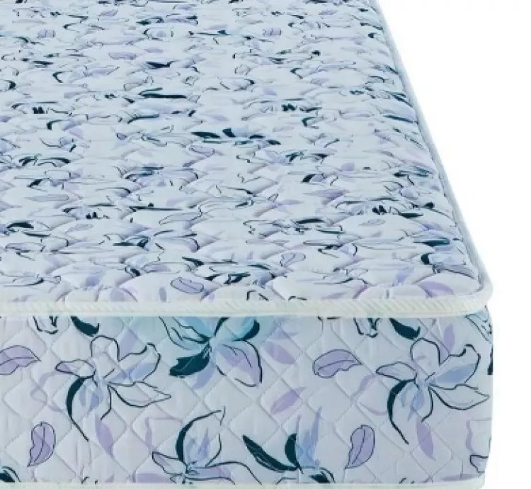 Colchón Cannon Princess Alta Densidad 24kg/m3 140x190x20cm