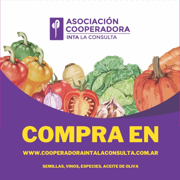 cooperadoraintalaconsulta