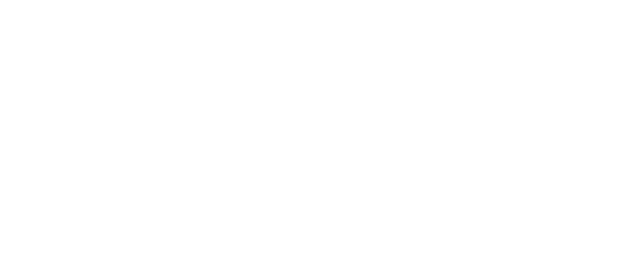 ladolfinashop