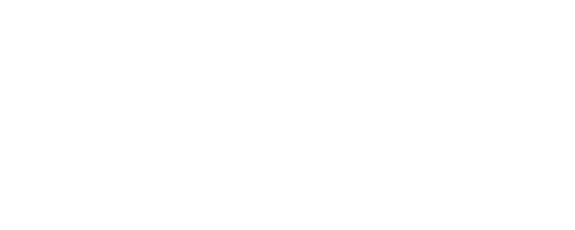 wondertallesreales