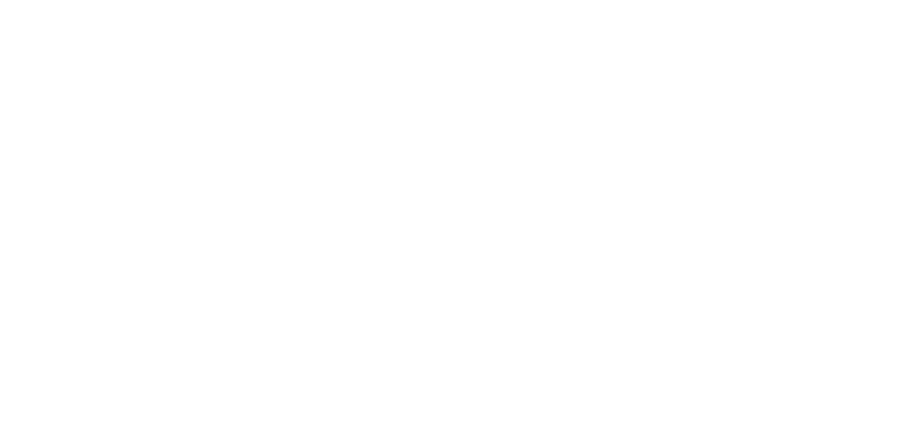 pidebis