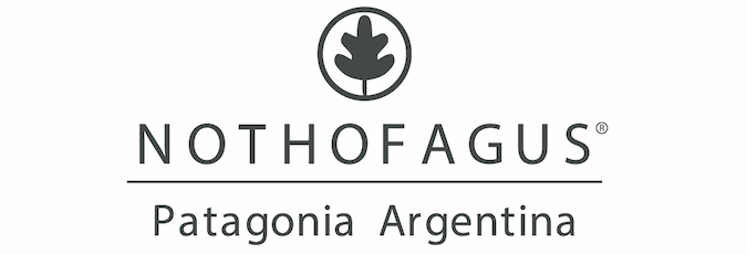 nothofagusargentina