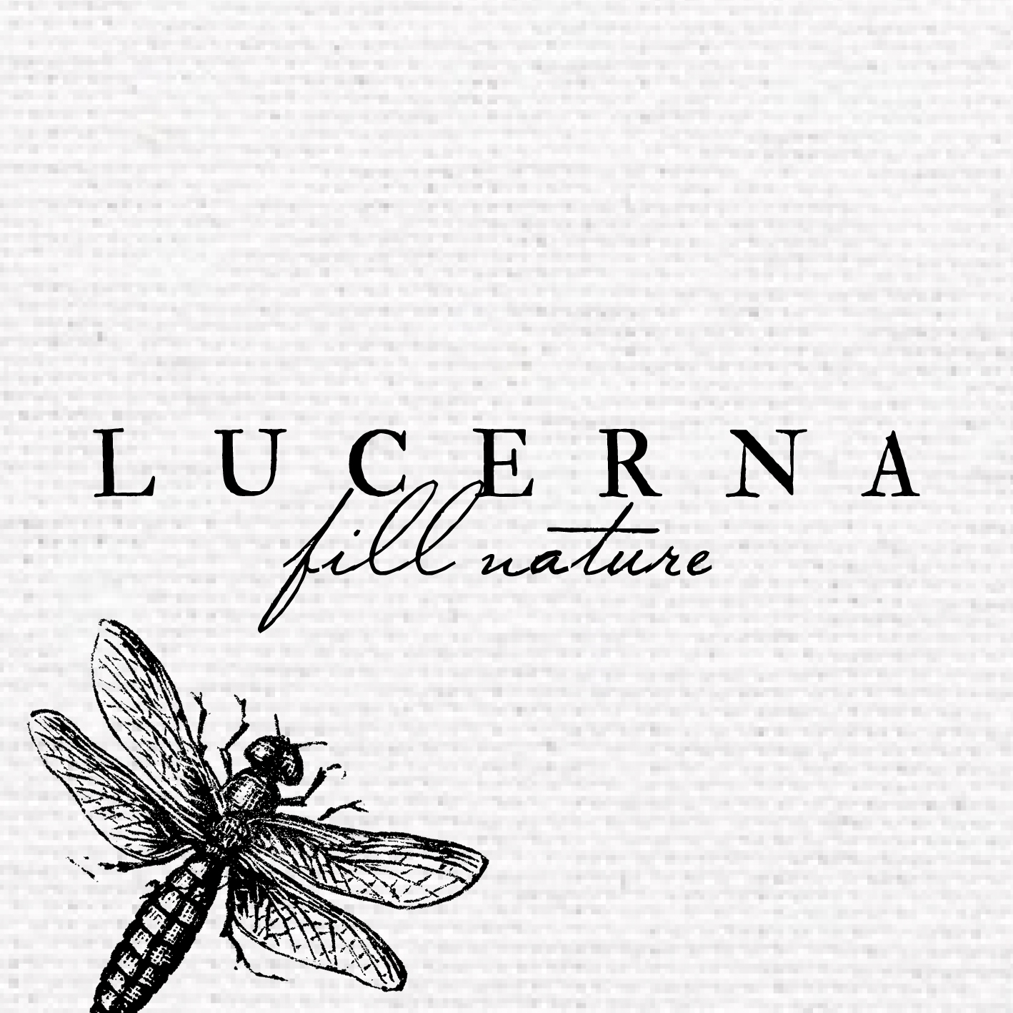 lucerna